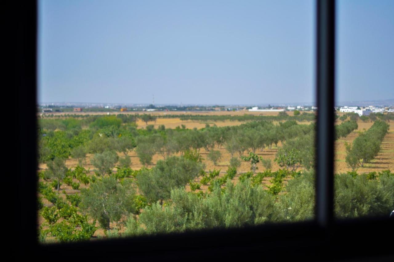 Résidence des Oliviers Yasmine Hammamet Exterior foto