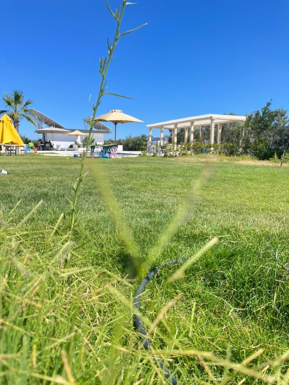 Résidence des Oliviers Yasmine Hammamet Exterior foto