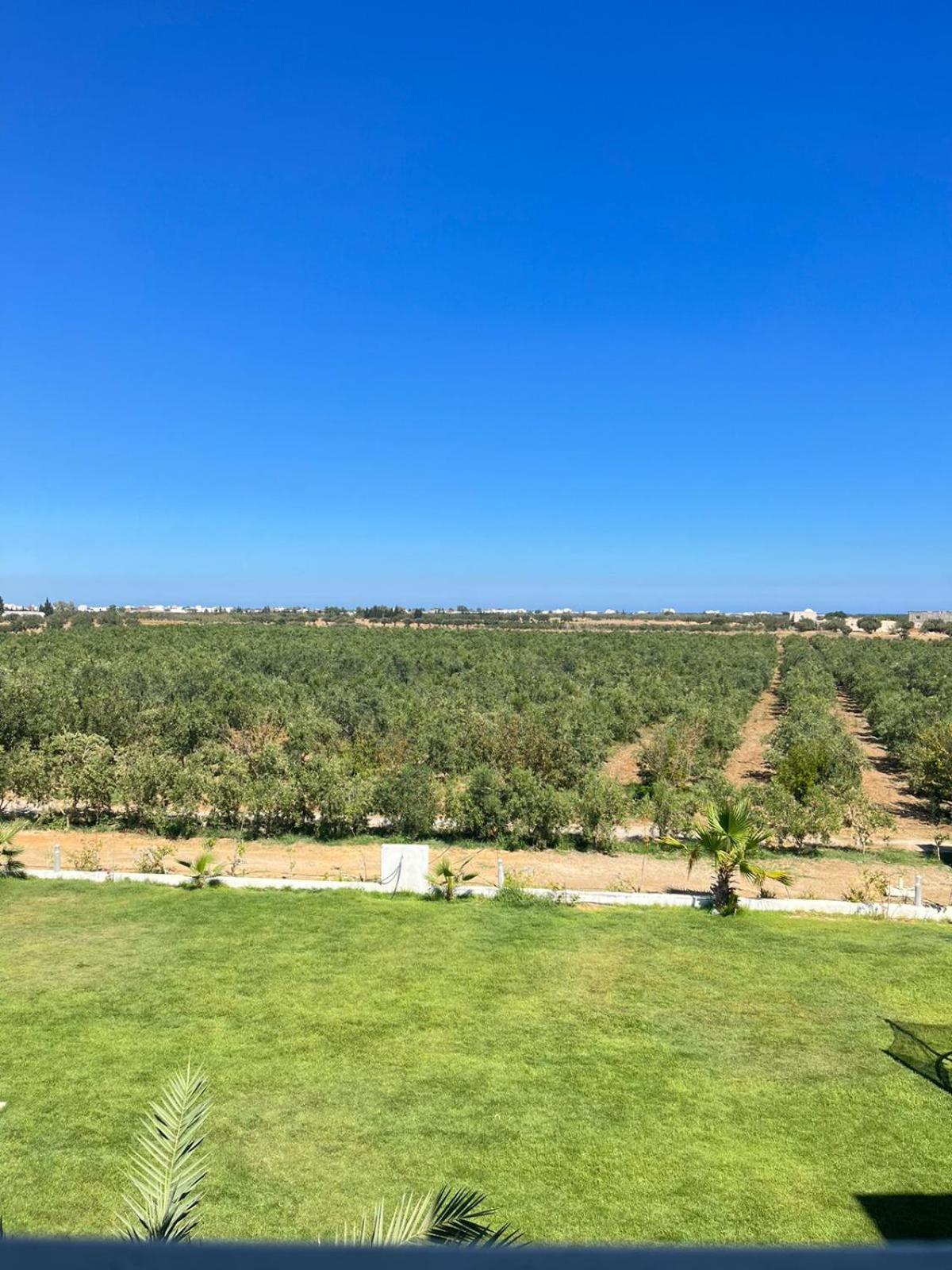 Résidence des Oliviers Yasmine Hammamet Exterior foto