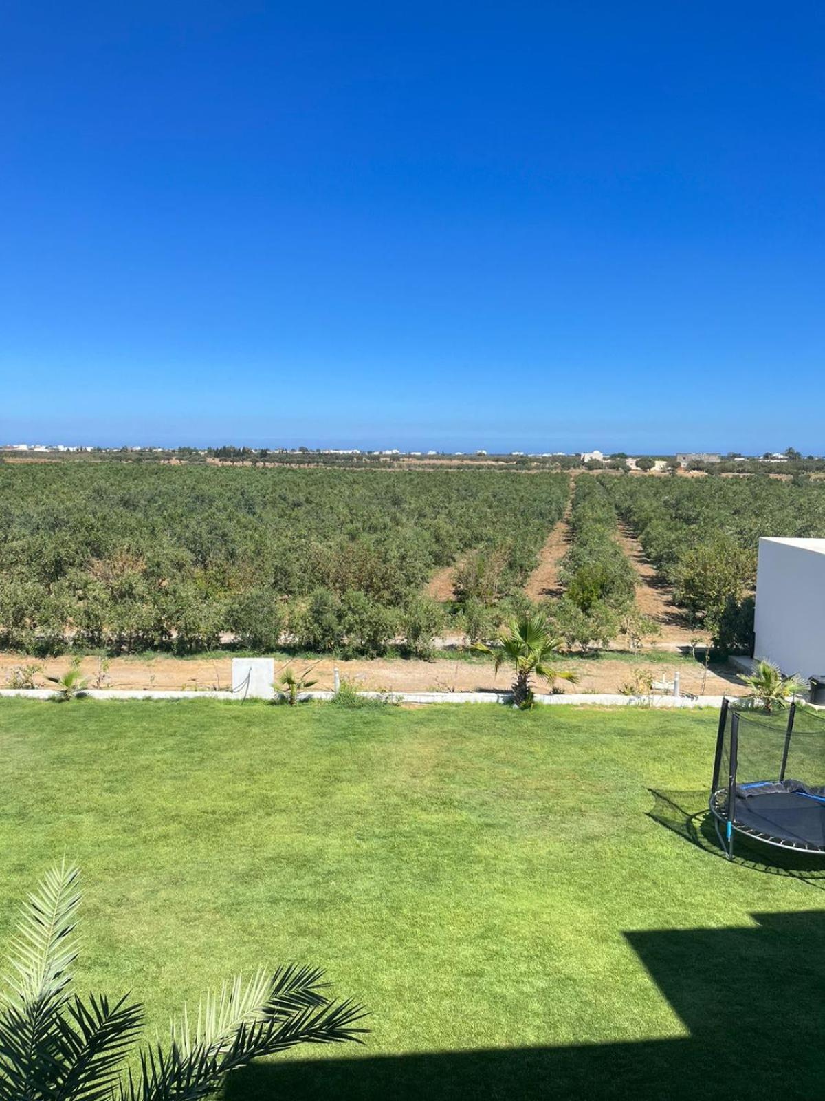 Résidence des Oliviers Yasmine Hammamet Exterior foto