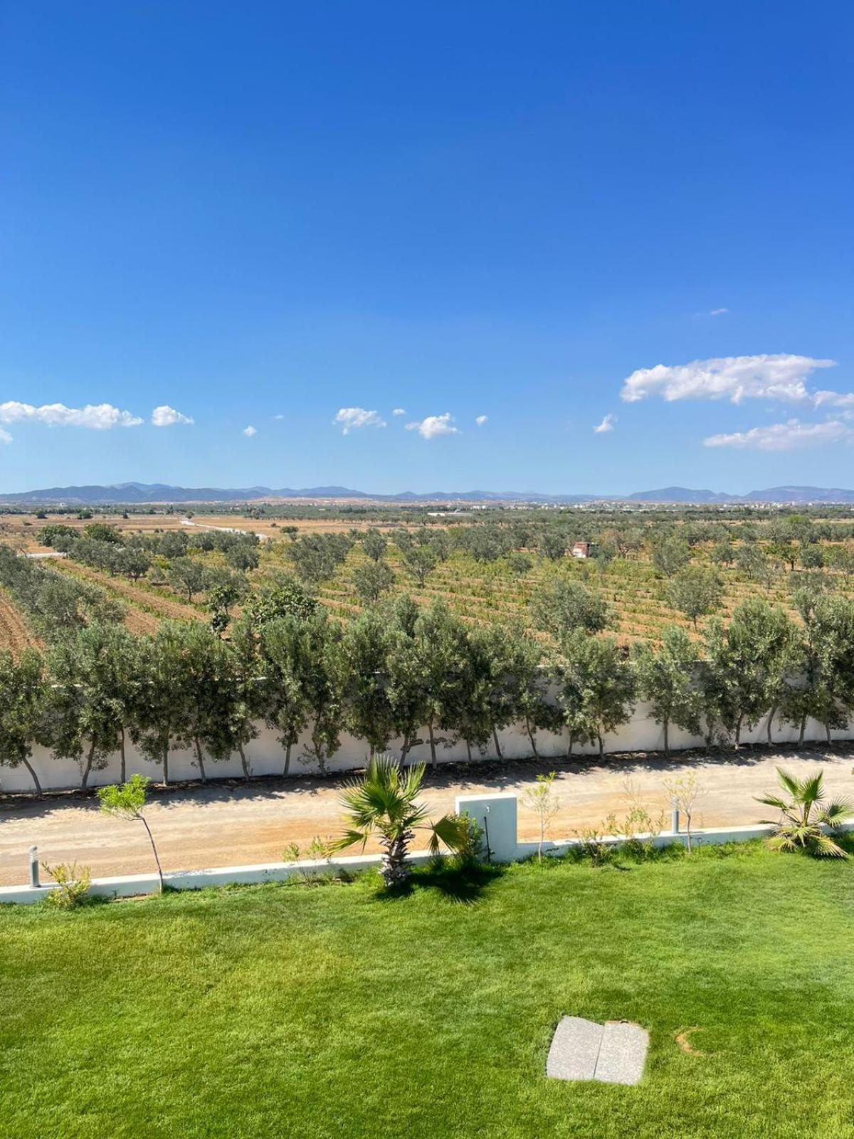 Résidence des Oliviers Yasmine Hammamet Exterior foto